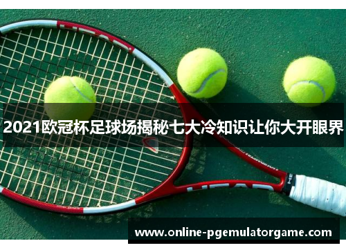 2021欧冠杯足球场揭秘七大冷知识让你大开眼界 2021欧冠杯足球场揭秘七大冷知识让你大开眼界