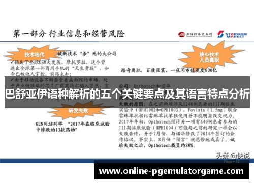 巴舒亚伊语种解析的五个关键要点及其语言特点分析