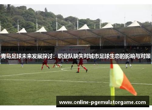 青岛足球未来发展探讨：职业队缺失对城市足球生态的影响与对策