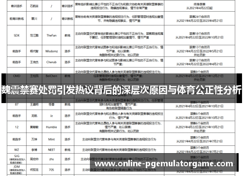 魏震禁赛处罚引发热议背后的深层次原因与体育公正性分析